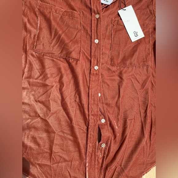 NWT Thread & Supply Blush Velvet Long Sleeve Button Down - Picture 2 of 4
